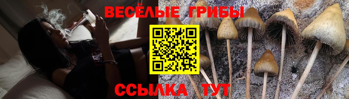 Псилоцибиновые грибы прущие грибы  Вход с VPN  Псилоцибиновые грибы GOLDEN TEACHER  Всеволожск 